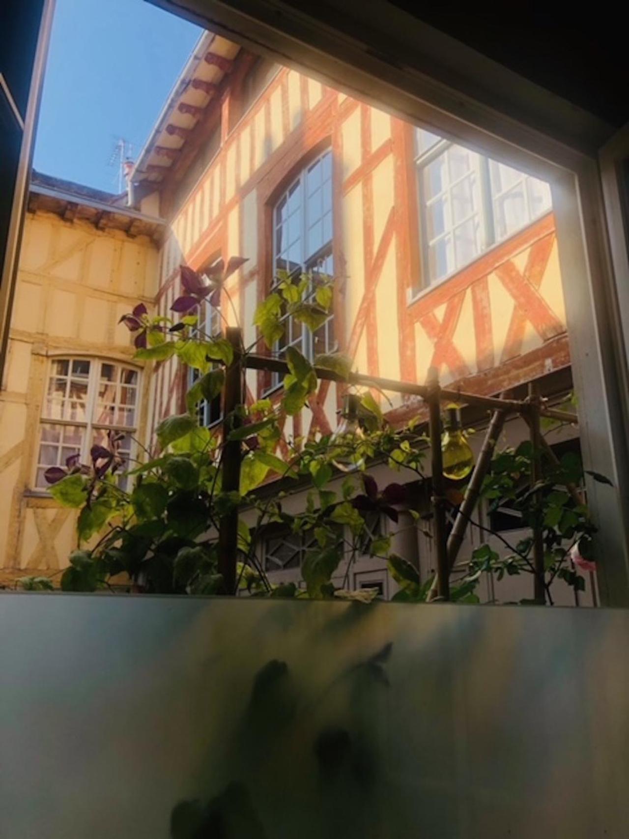 Atelier Des Glycines, Troyes Bouchon De Champagne, Sublime Site Patrimonial Apartment Bagian luar foto