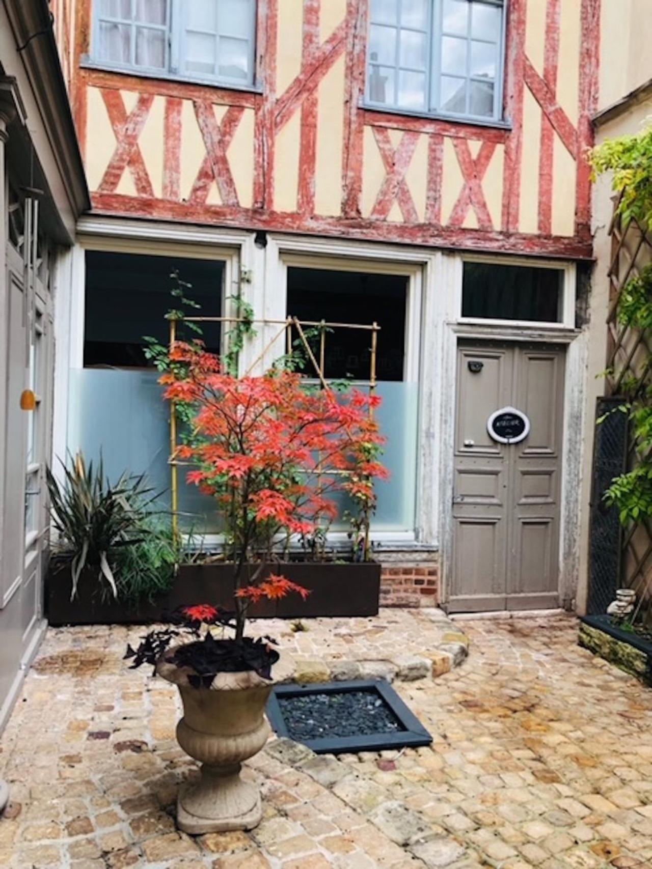 Atelier Des Glycines, Troyes Bouchon De Champagne, Sublime Site Patrimonial Apartment Bagian luar foto